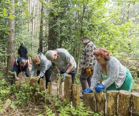 Working in the forest